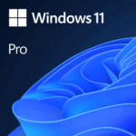 Windows 11 Pro - 1 License