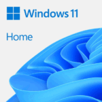 Windows 11 Home - 1 License