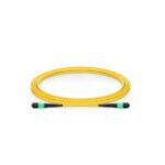 12 cores SM MPO Trunk Patch Cord