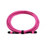 24 cores MM MPO Trunk Patch Cord