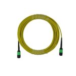 24 cores SM MPO Trunk Patch Cord