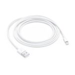 Apple Lightning to USB Cable 2M