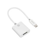 Kanex USB-C to DisplayPort Adapter with 4K Support (21 cm)-White (Thunderbolt 3 compatible)